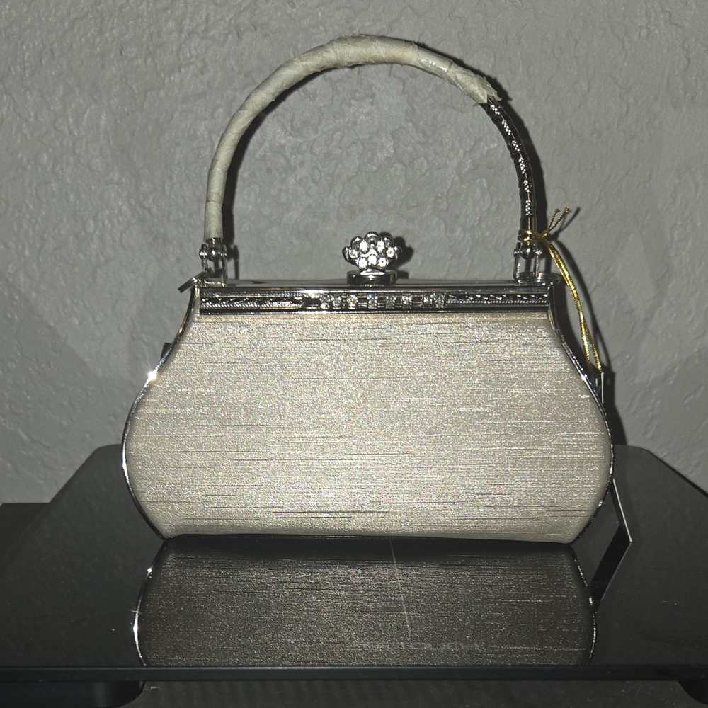Chic Silver Evening Clutch